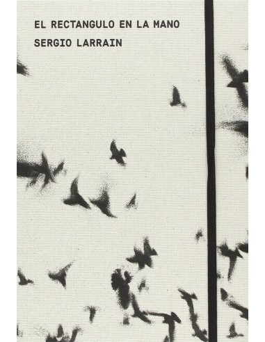 Sergio Larrain, El rectangulo en la mano