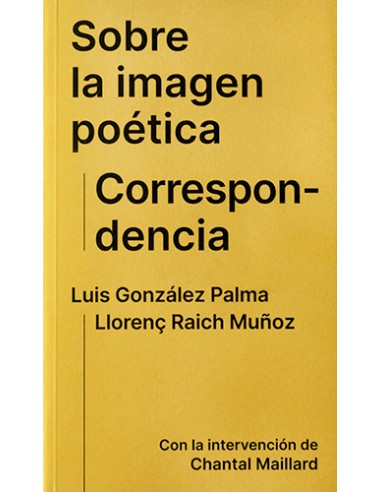 Luis González Palma, Sobre la imagen...
