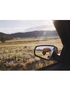 Rearview Mirror, 2005-2011,...