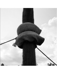 GRACIELA ITURBIDE, 'Jardín...