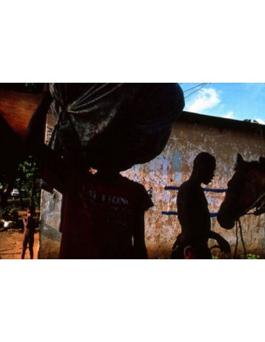 Haitianos, 199