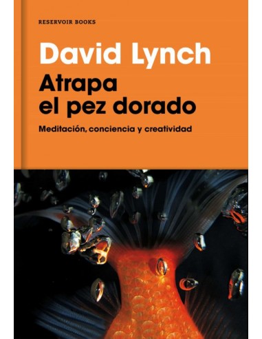David Lynch, Atrapa el pez dorado