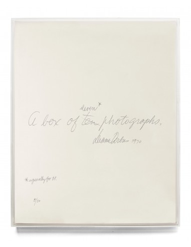 Diane Arbus, A box of ten photographs