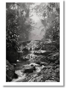 Sebastião Salgado. Poster...