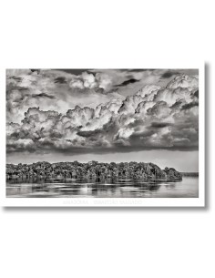 Sebastião Salgado. Poster...