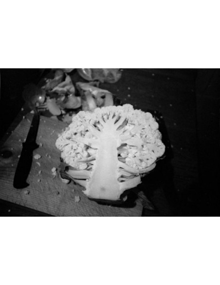 Fotografías de un diario, 1995
