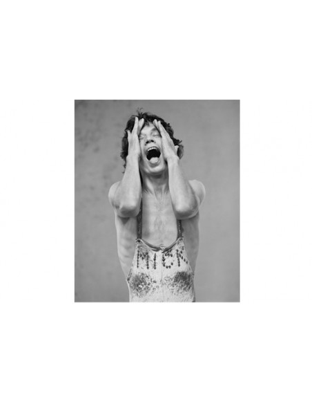 Mick Jagger. El libro de fotos