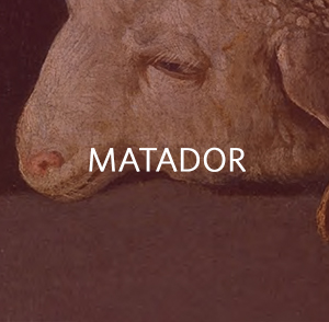 Matador